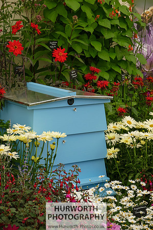 2015 RHS Tatton -147