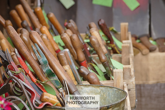 2015 RHS Tatton -164