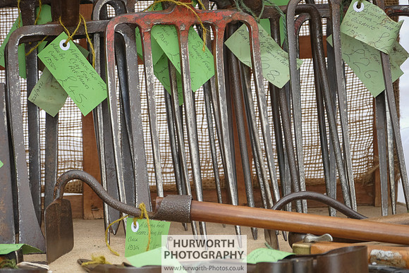 2015 RHS Tatton -165