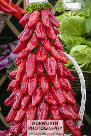 2015 RHS Tatton -207