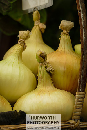 2015 RHS Tatton -208