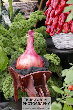 2015 RHS Tatton -211