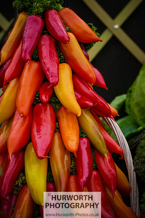2015 RHS Tatton -212