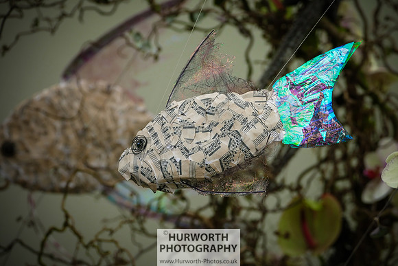 2015 RHS Tatton -285