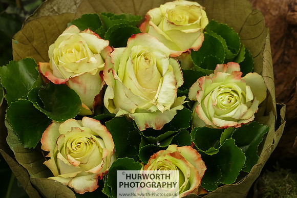 2015 RHS Tatton -286