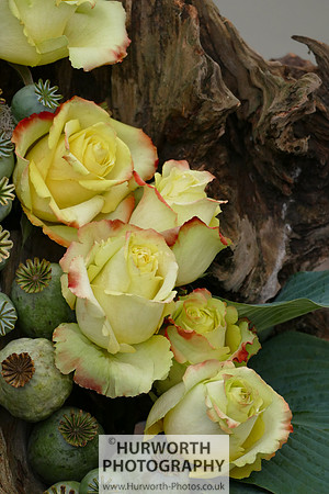 2015 RHS Tatton -288