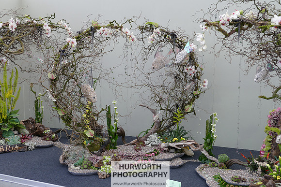 2015 RHS Tatton -289