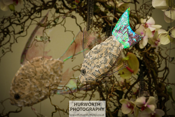 2015 RHS Tatton -296