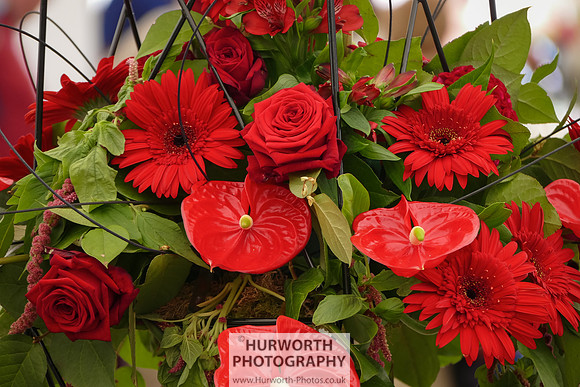 2015 RHS Tatton -298