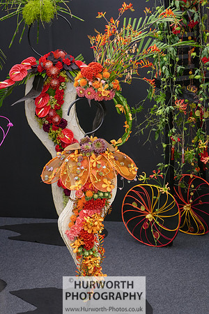 2015 RHS Tatton -305