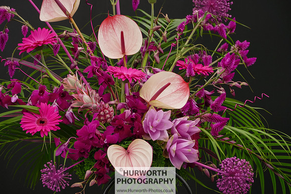 2015 RHS Tatton -306