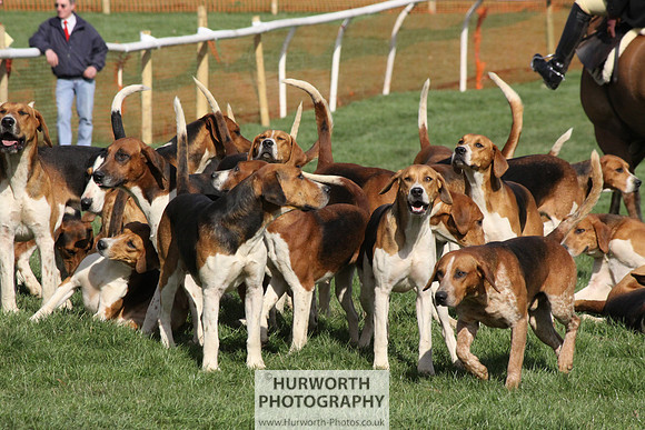 Hurworth Point to Point 024
