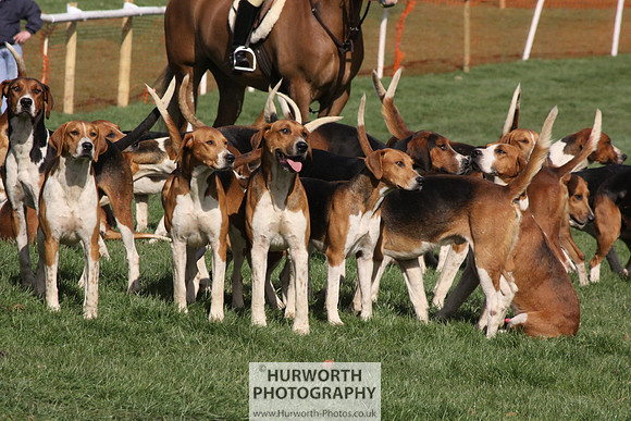 Hurworth Point to Point 028