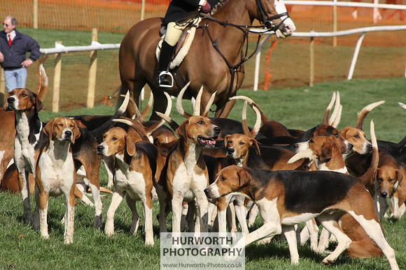 Hurworth Point to Point 029