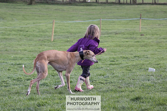 Hurworth Point to Point 044