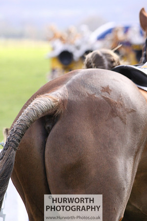 Hurworth Point to Point 096