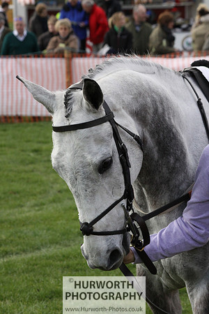 Hurworth Point to Point 110