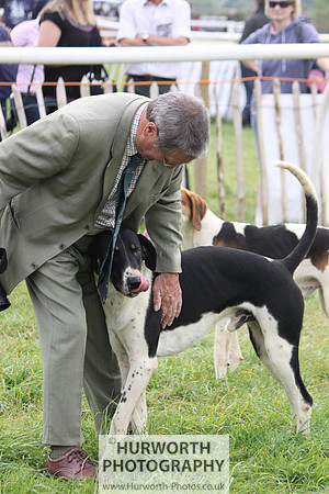 Bilsdale Point to Point 036