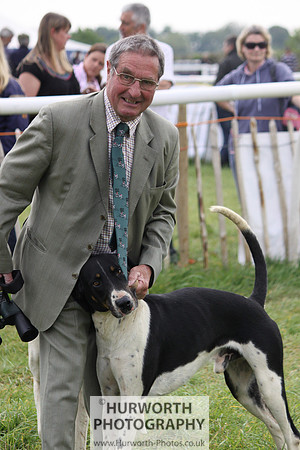Bilsdale Point to Point 037