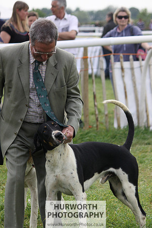 Bilsdale Point to Point 038