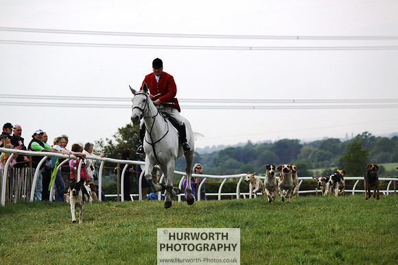 Bilsdale Point to Point 039