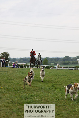 Bilsdale Point to Point 041