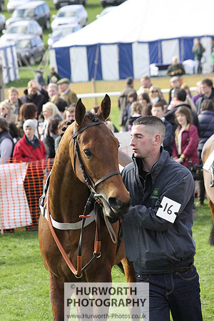 Hurworth Point to Point 006