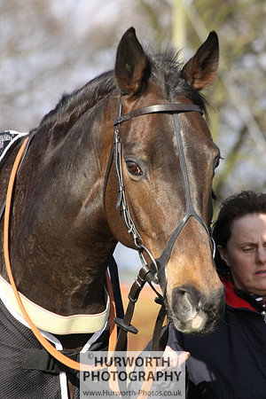 Hurworth Point to Point 005