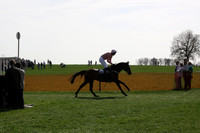 Bedale Point to Point 007