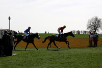 Bedale Point to Point 008