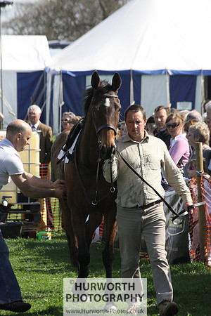 Bedale Point to Point 010