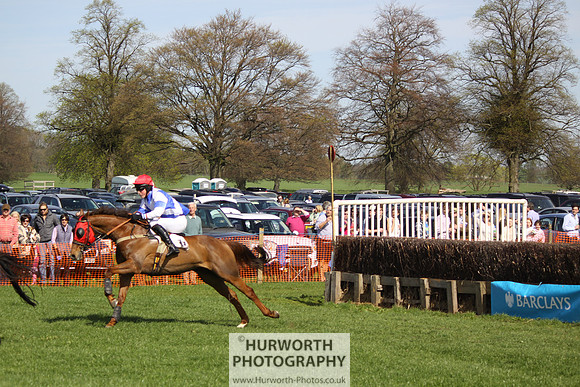 Bedale Point to Point 030