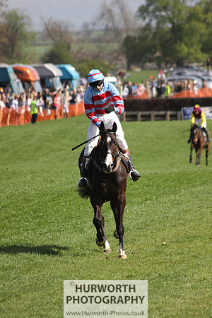 Bedale Point to Point 037