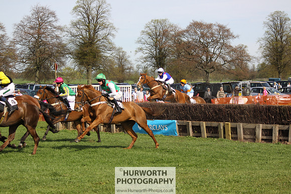 Bedale Point to Point 010