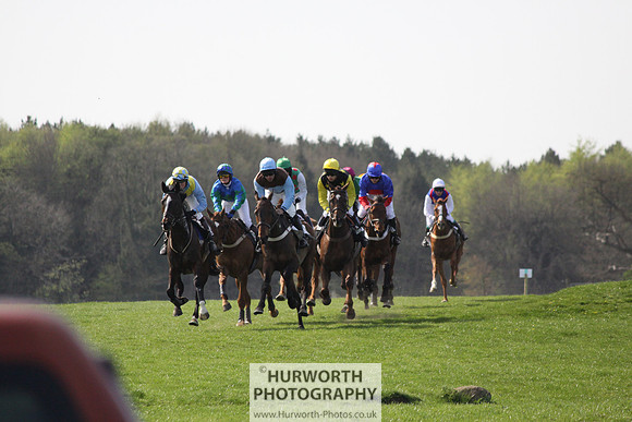 Bedale Point to Point 019