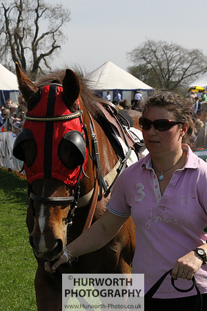 Bedale Point to Point 005