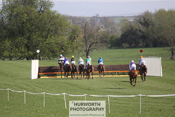 Bedale Point to Point 033