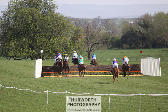 Bedale Point to Point 036