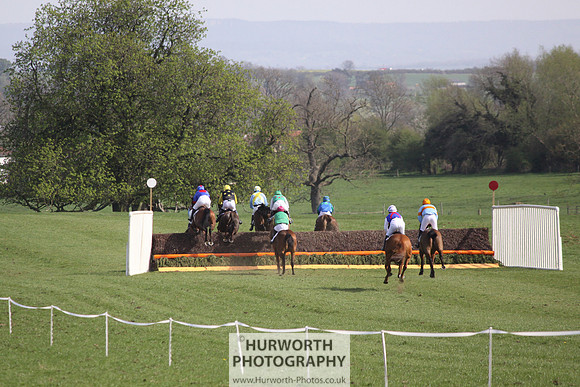 Bedale Point to Point 037