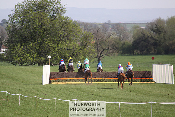 Bedale Point to Point 038