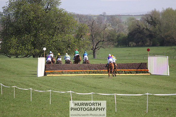 Bedale Point to Point 040