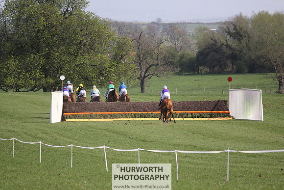 Bedale Point to Point 041