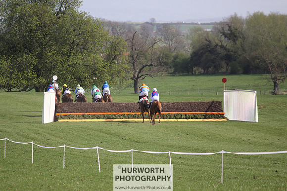 Bedale Point to Point 043