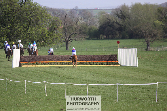 Bedale Point to Point 045