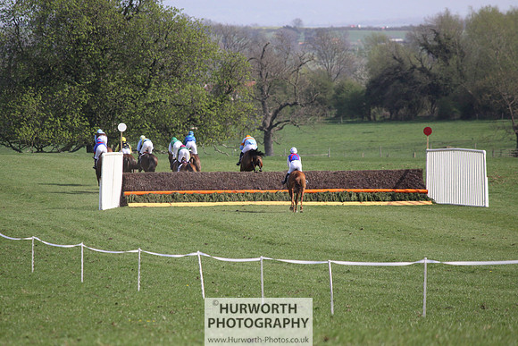 Bedale Point to Point 044