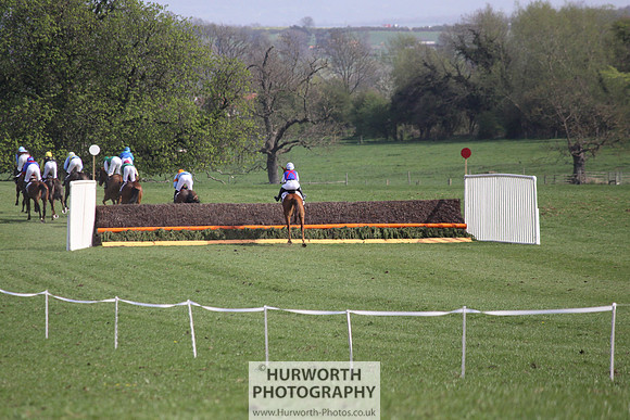 Bedale Point to Point 046