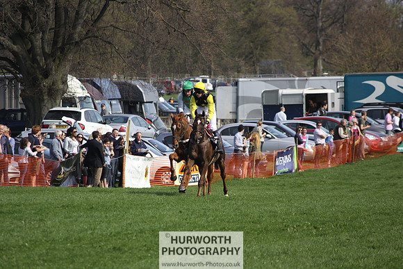 Bedale Point to Point 060