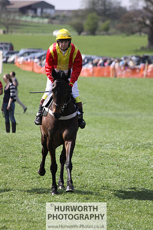 Bedale Point to Point 027