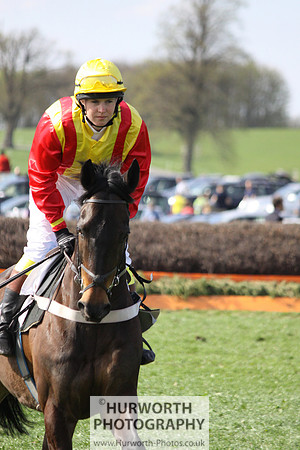 Bedale Point to Point 030