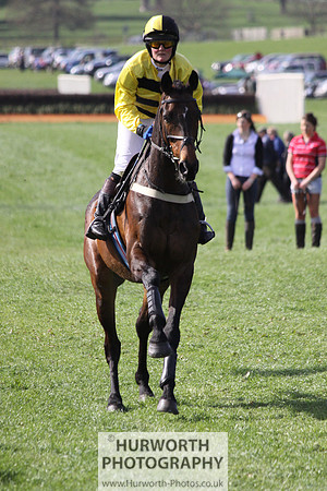Bedale Point to Point 034